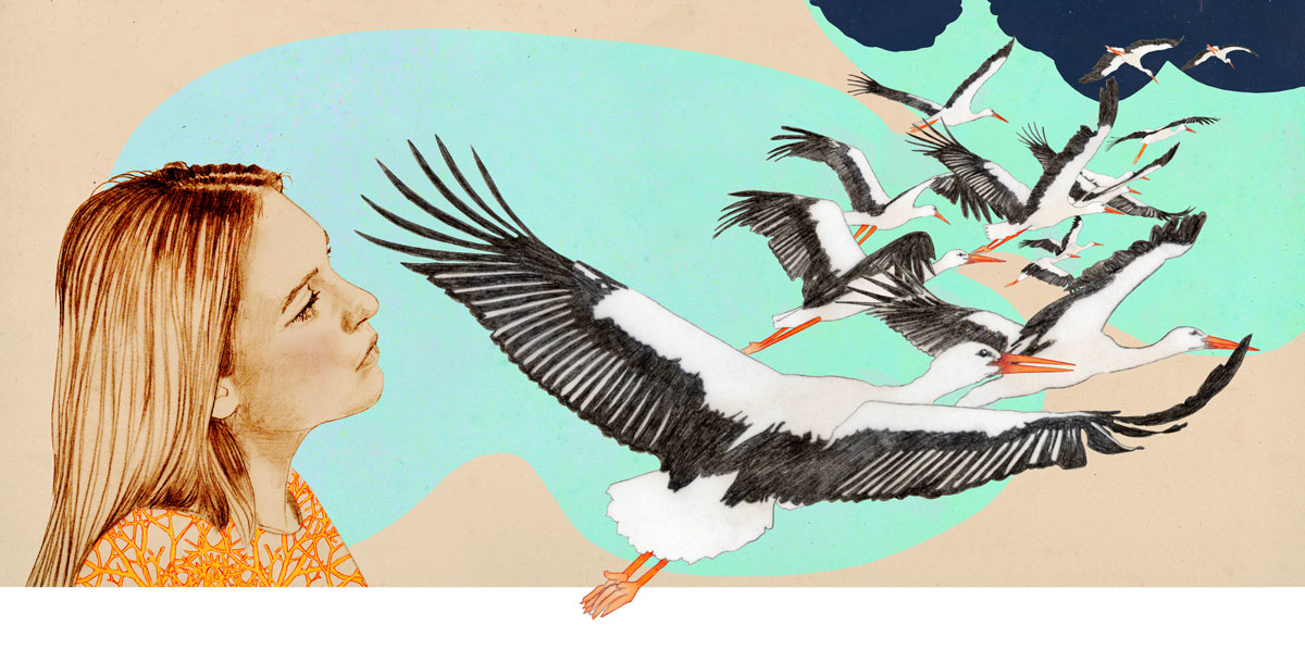 birgit lang illustration birgit lang illustration