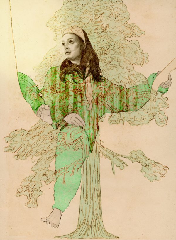 Julia „Butterfly“ Hill