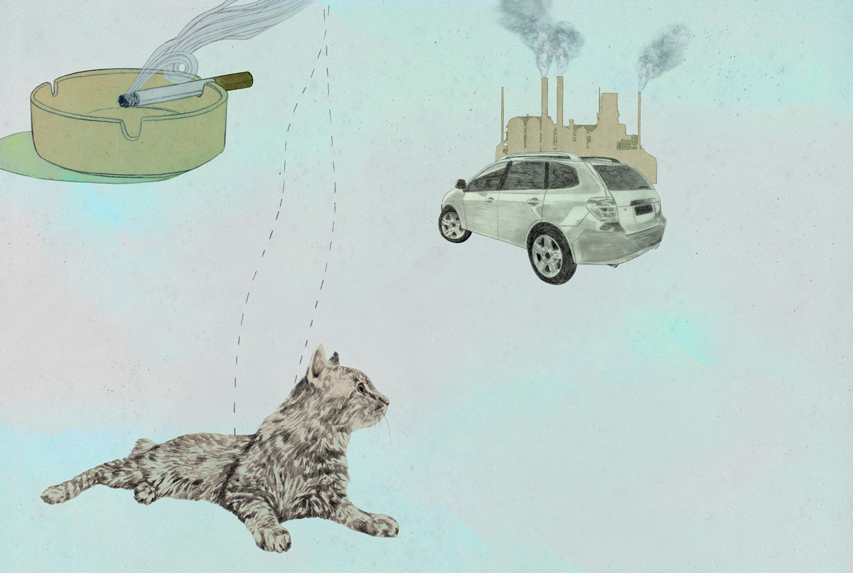 birgit lang illustration birgit lang illustration